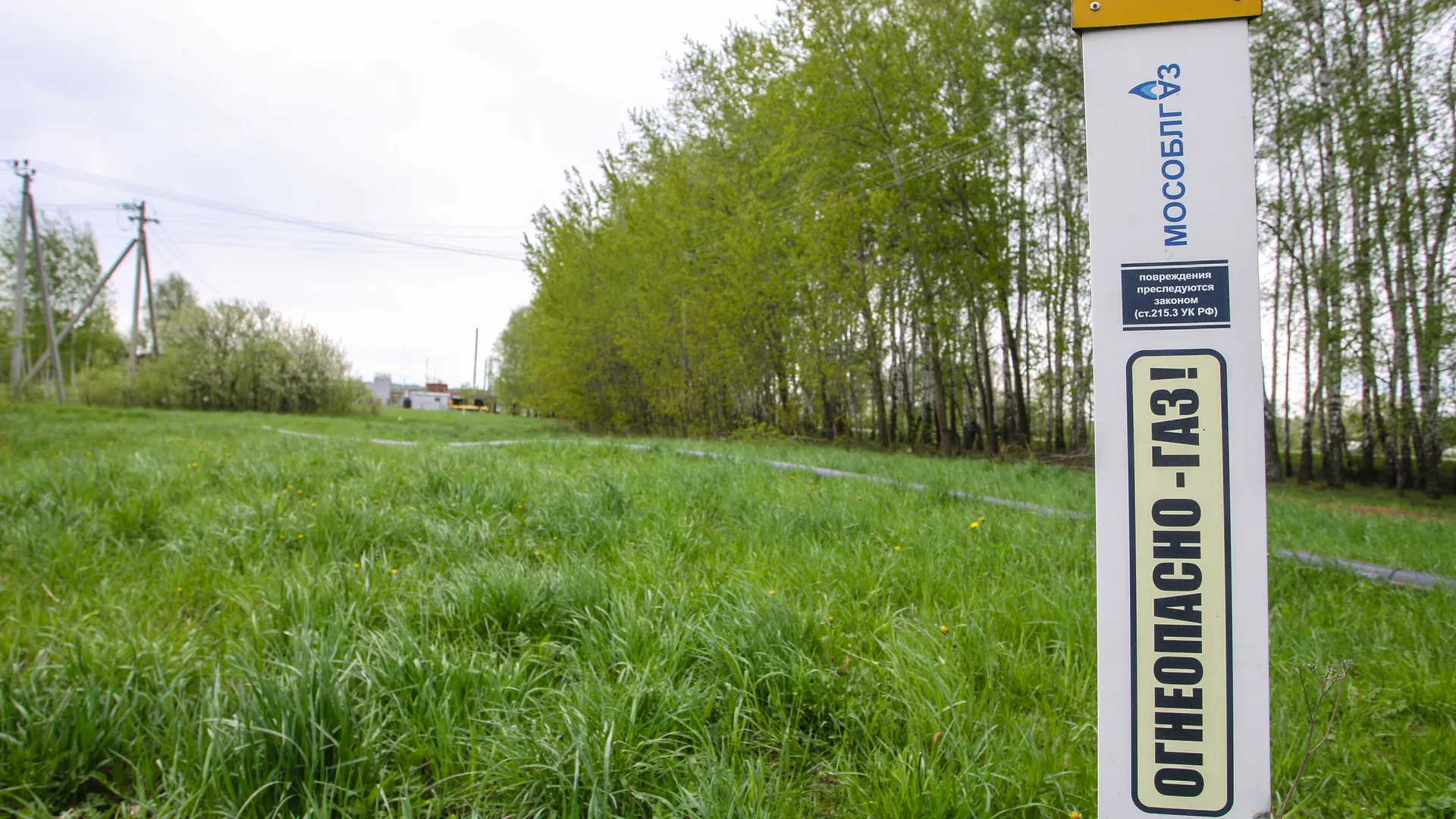 Фото: пресс-служба Администрации г.о. Кашира