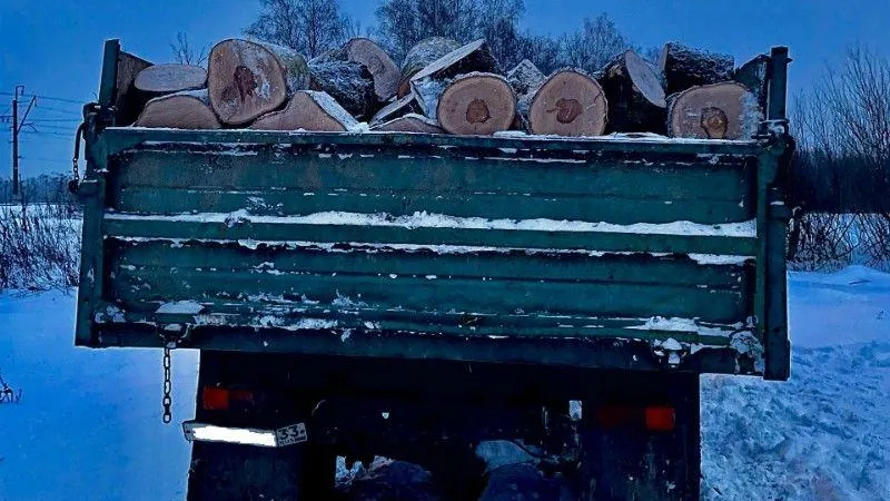 Пресс-служба Комитета лесного хозяйства Московской области