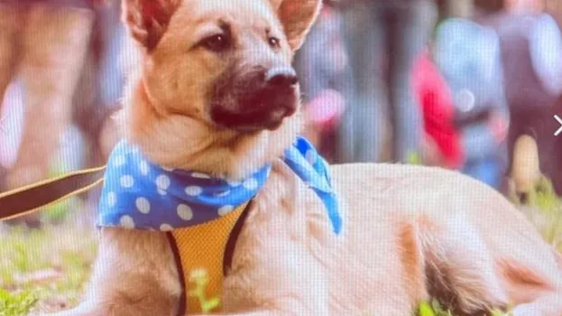 Фото: Екатерина Филиппова