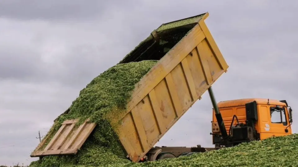 Фото: пресс-служба администрации г.о. Домодедово