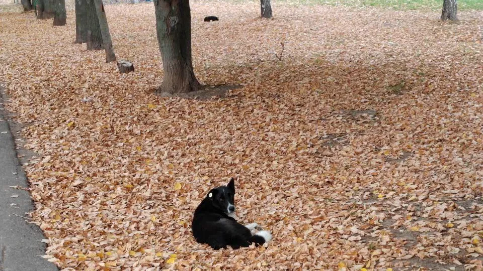 Фото: Евгений Мазепов