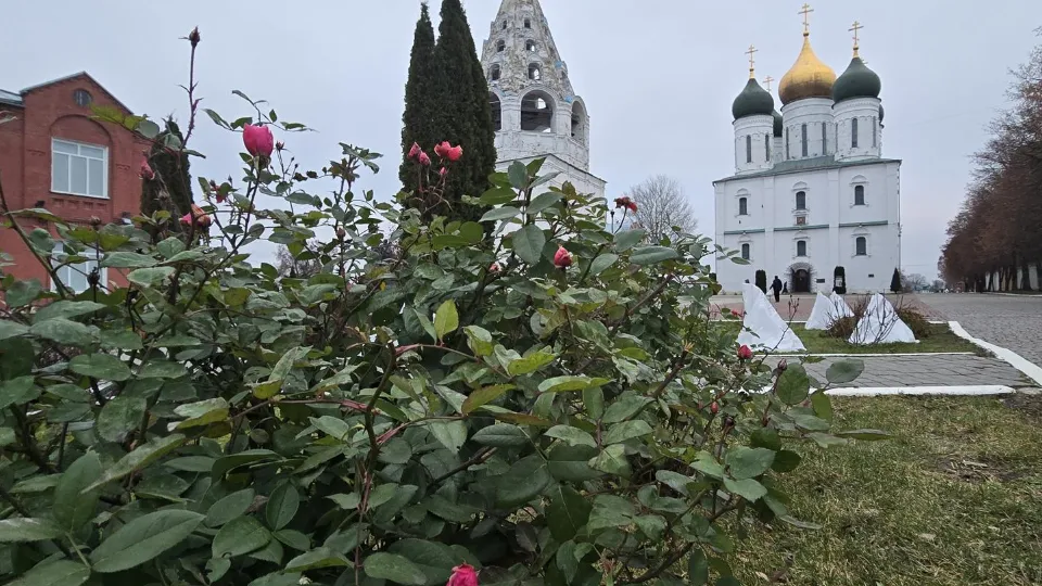 Фото: МедиаБанк Подмосковья/Марина Анисимова