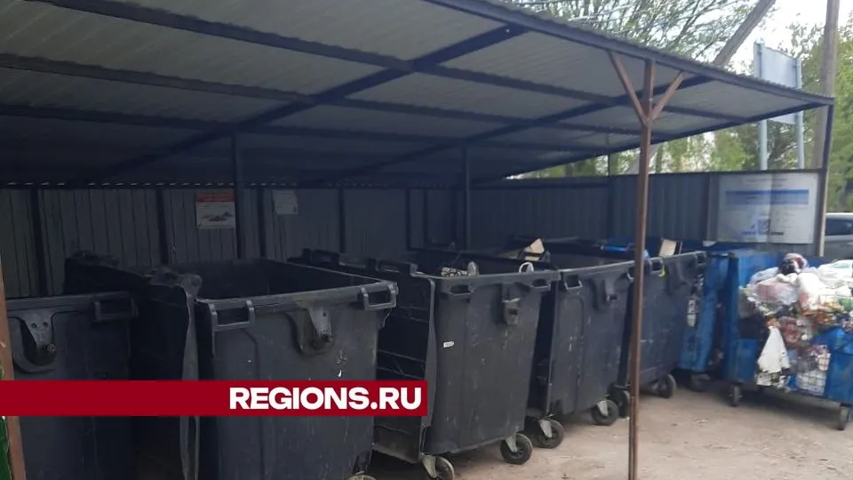 Фото: пресс-служба администрации городского округа Луховицы