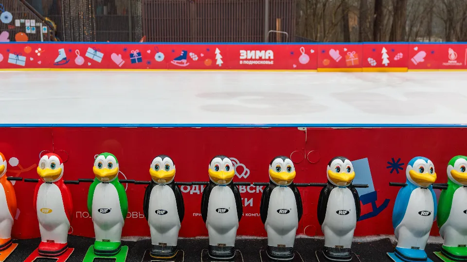 Фото: медиасток.рф