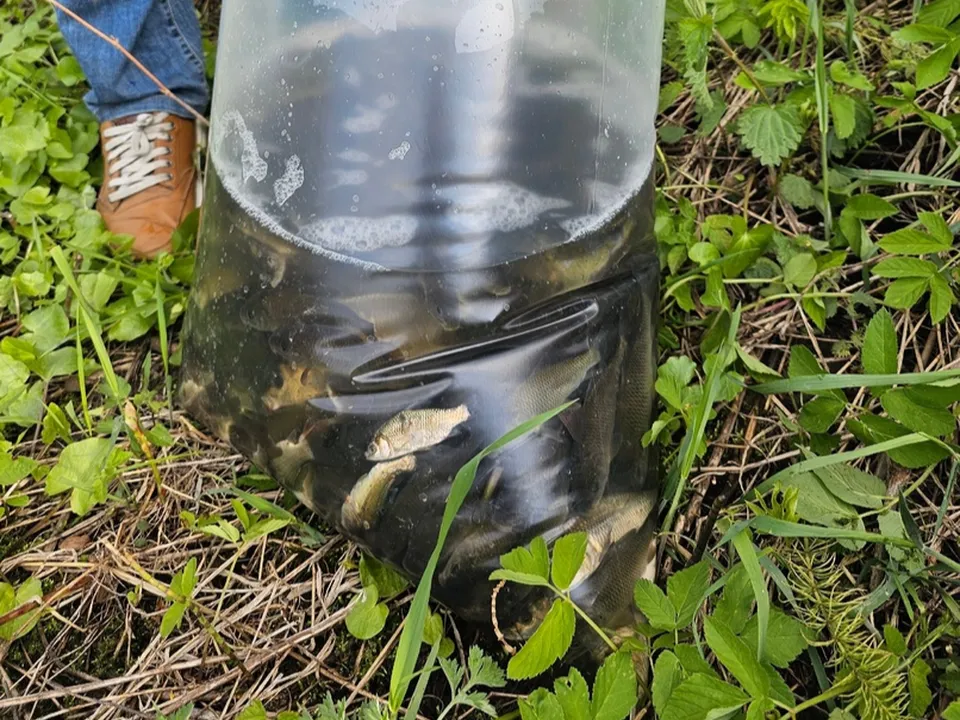 Фото: Александр Абдиев