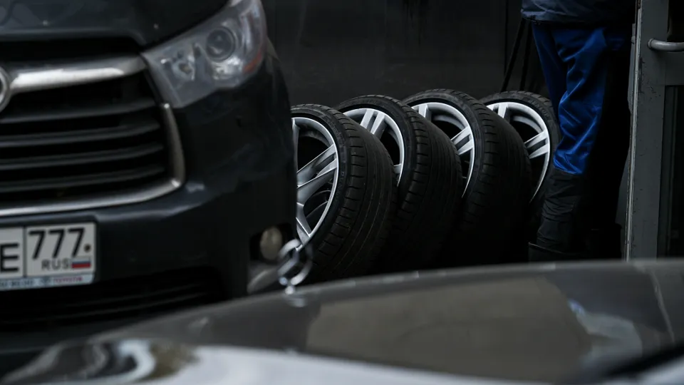 Фото: Медиаархив Подмосковья