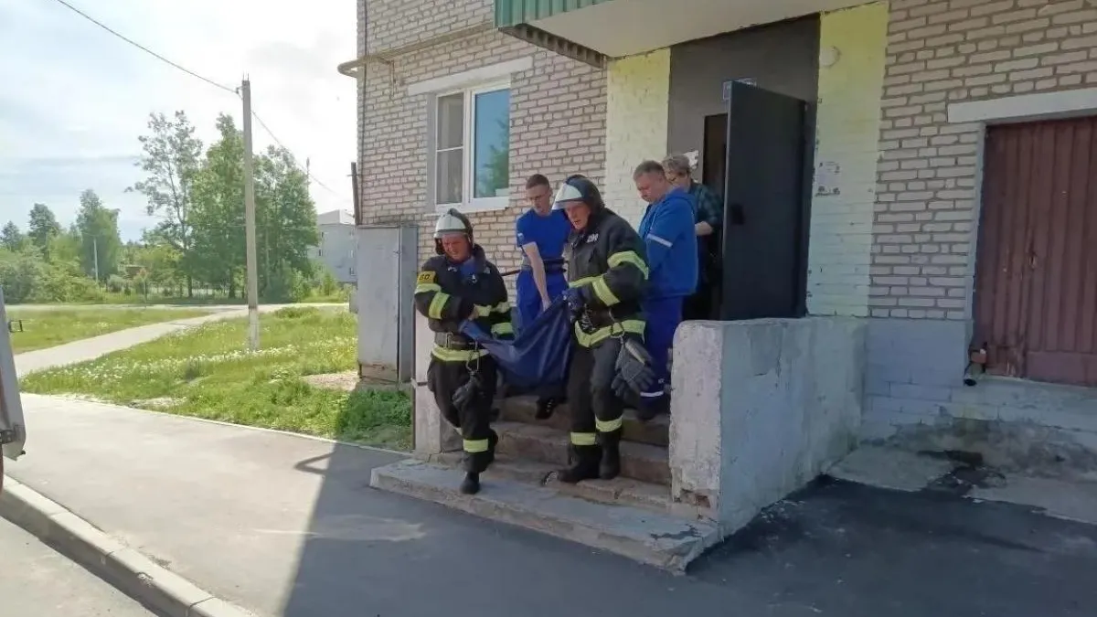 Картинка