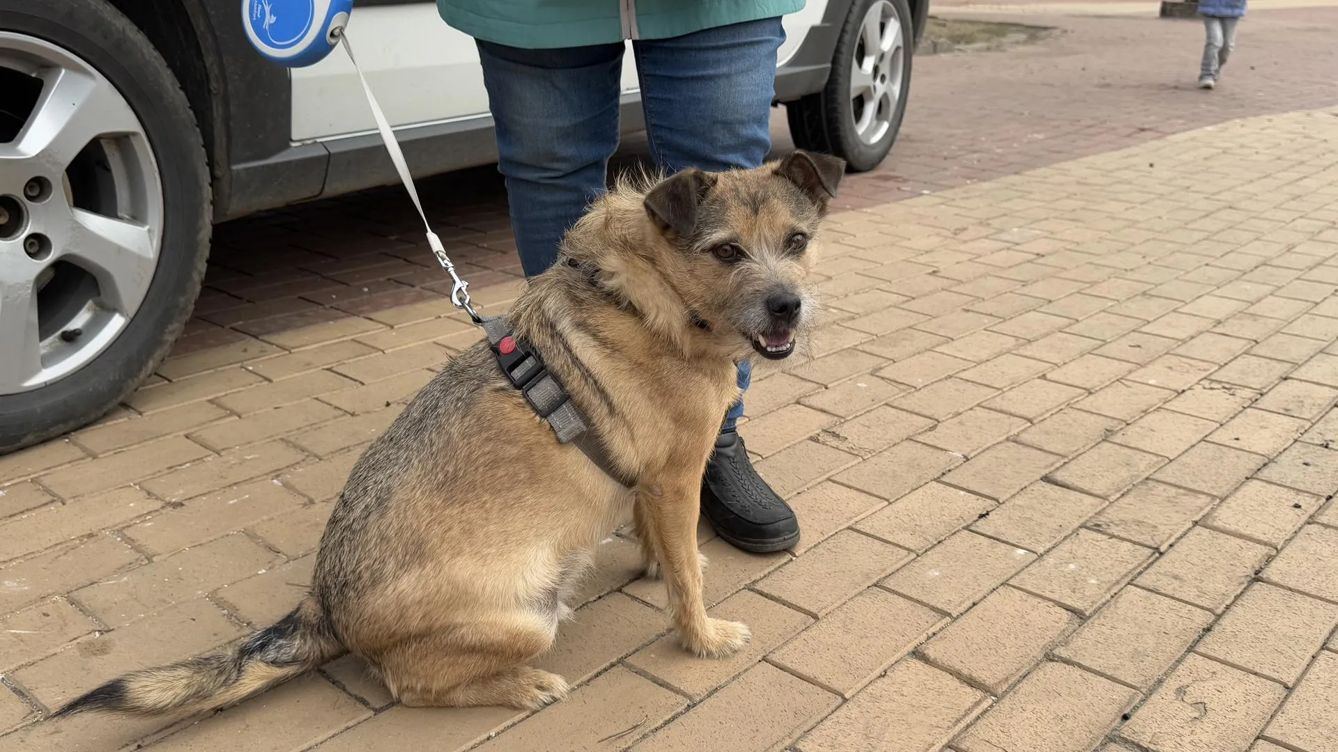 МедиаБанк Подмосковья/Виктория Фортуна