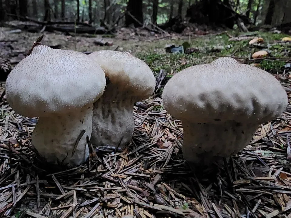 Фото: МедиаБанк Подмосковья/Мария Панина