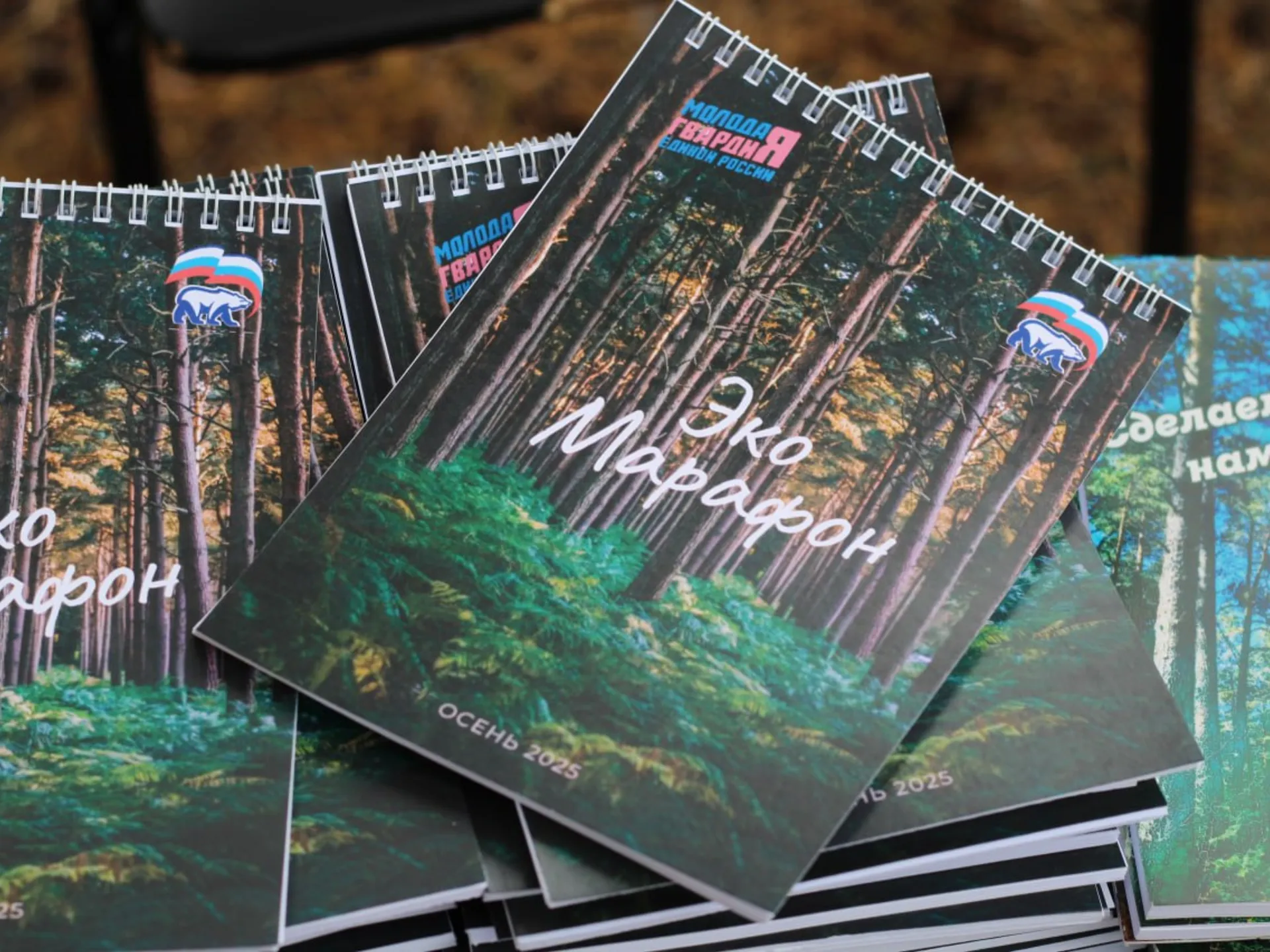 Фото: пресс-служба администрации Луховиц