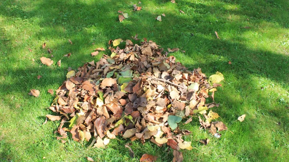 Фото: REGIONS/Илья Попов