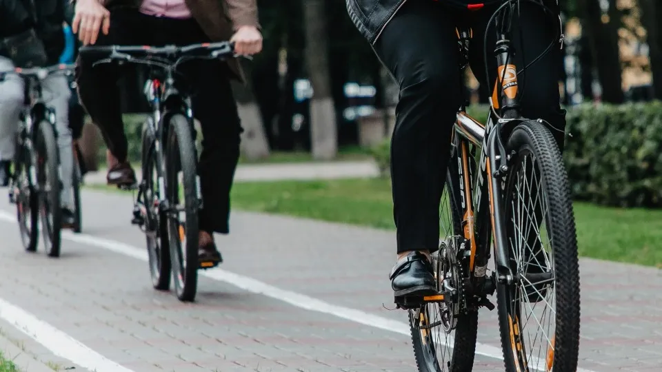 Фото: пресс-служба администрации г.о. Химки