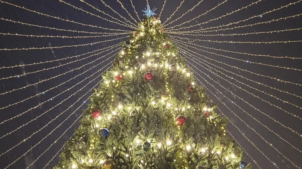 Фото: МедиаБанк Подмосковья/Ольга Вельшикаева