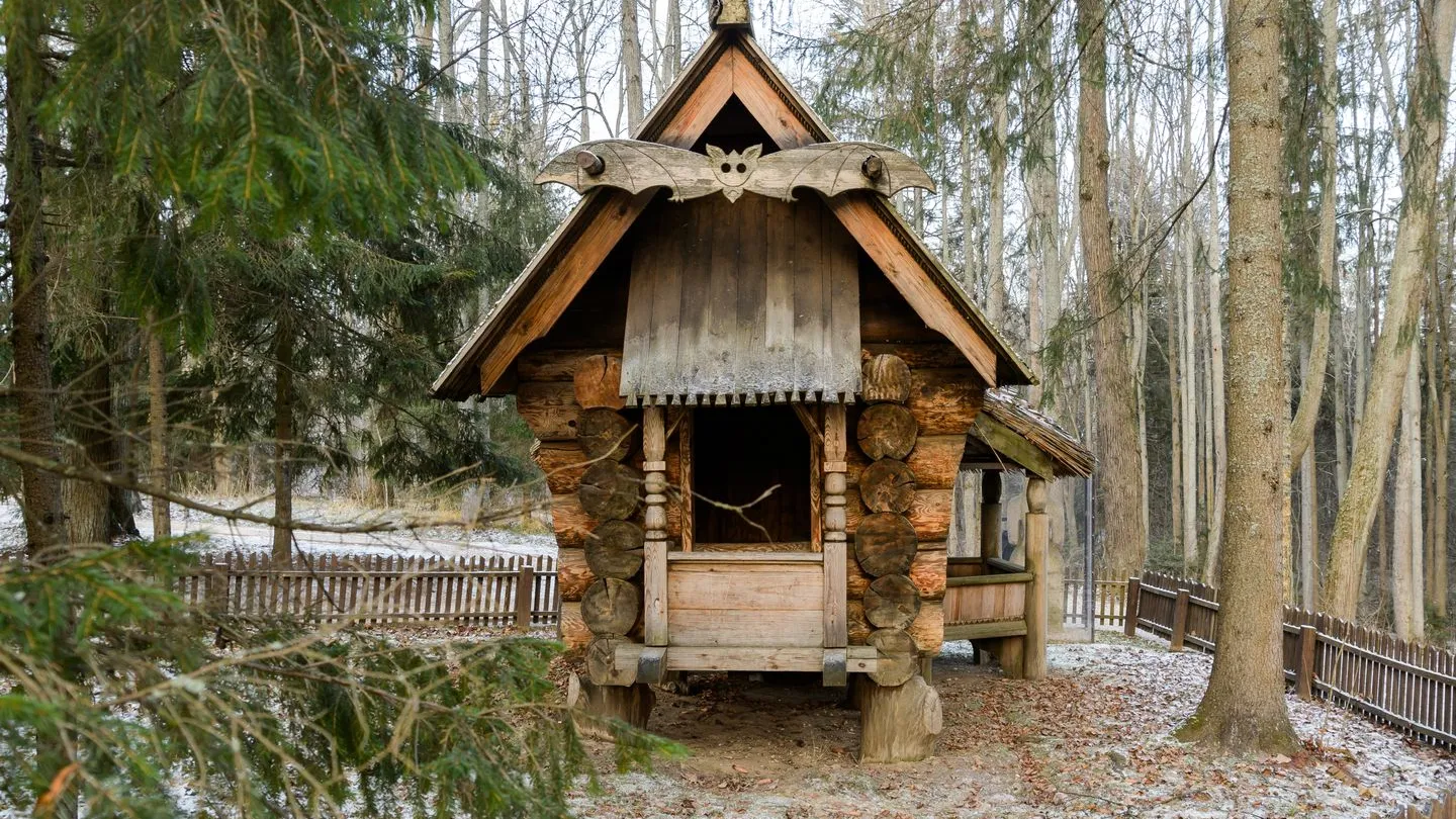 Фото: медиасток.рф