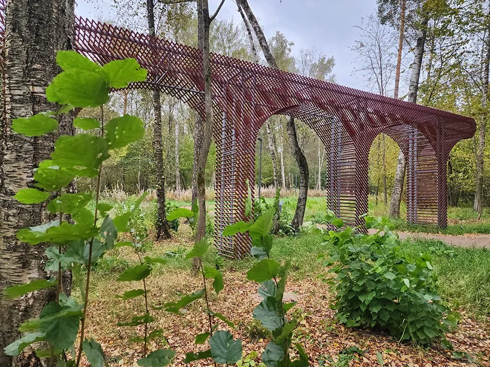 Фото: МедиаБанк Подмосковья/Никита Сморкалов