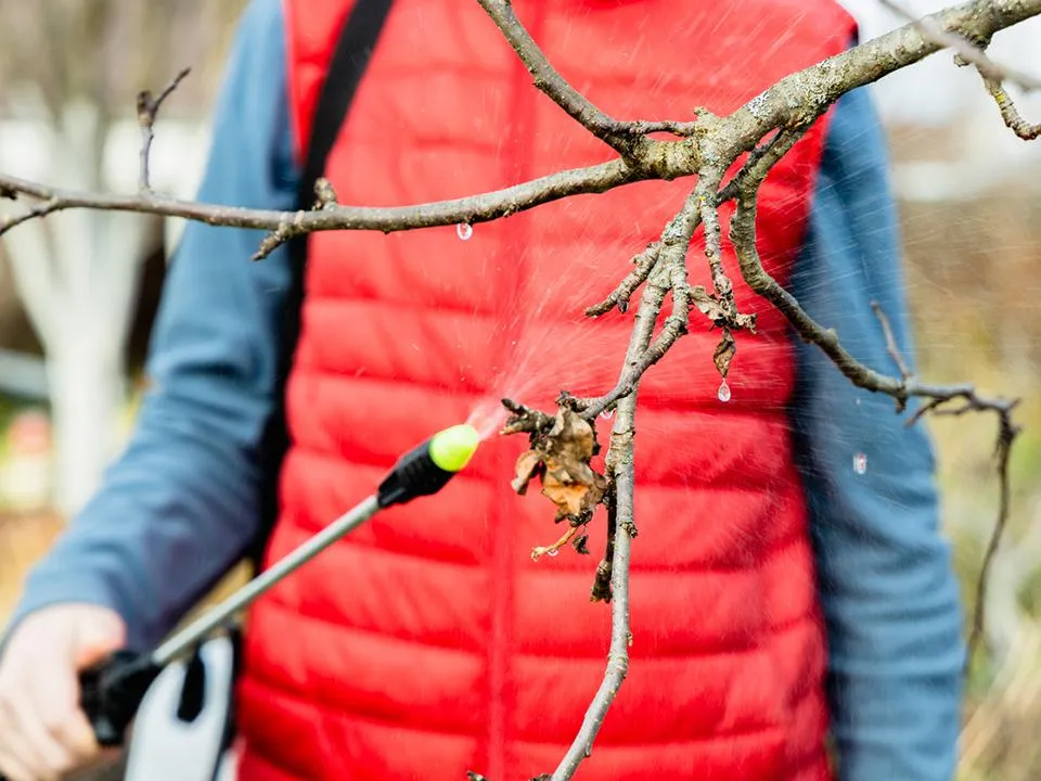 Фото: istockphoto.com/EyeEm Mobile GmbH