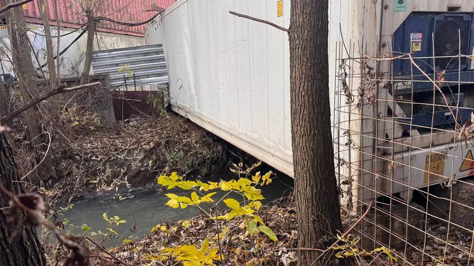 Фото: управление экологии городского округа Мытищи