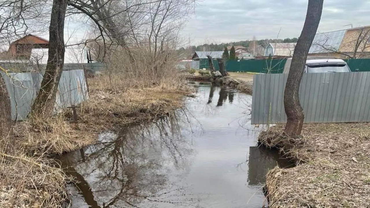 Два десятка СНТ проверят на возможность подтопления в Подмосковье