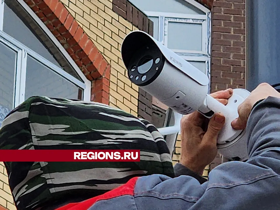 Фото: Дмитрий Беденко