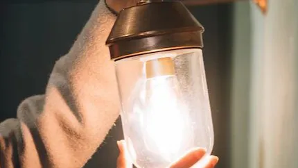 фото:ru.freepik.com