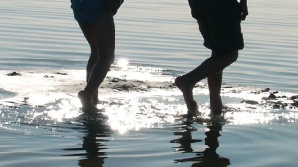 Фото: pxhere.com