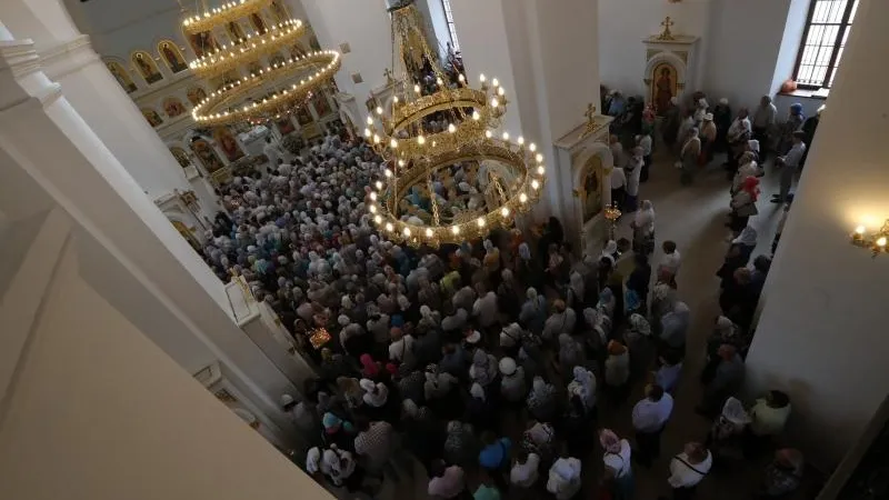Александр Щемляев  / Подмосковье сегодня