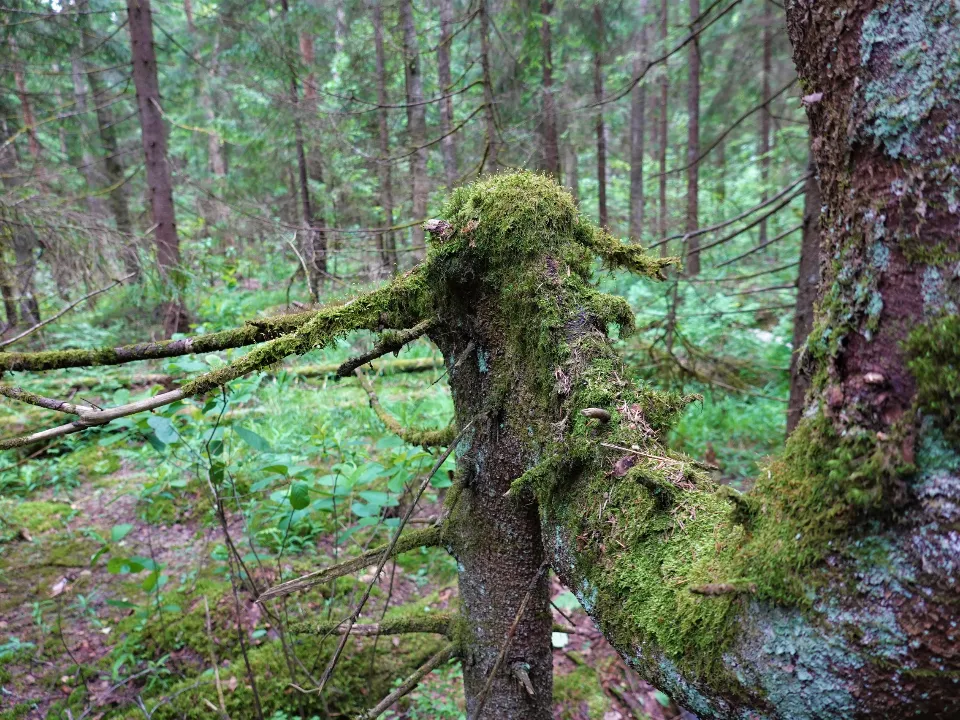 Фото: Евгения Шевнина