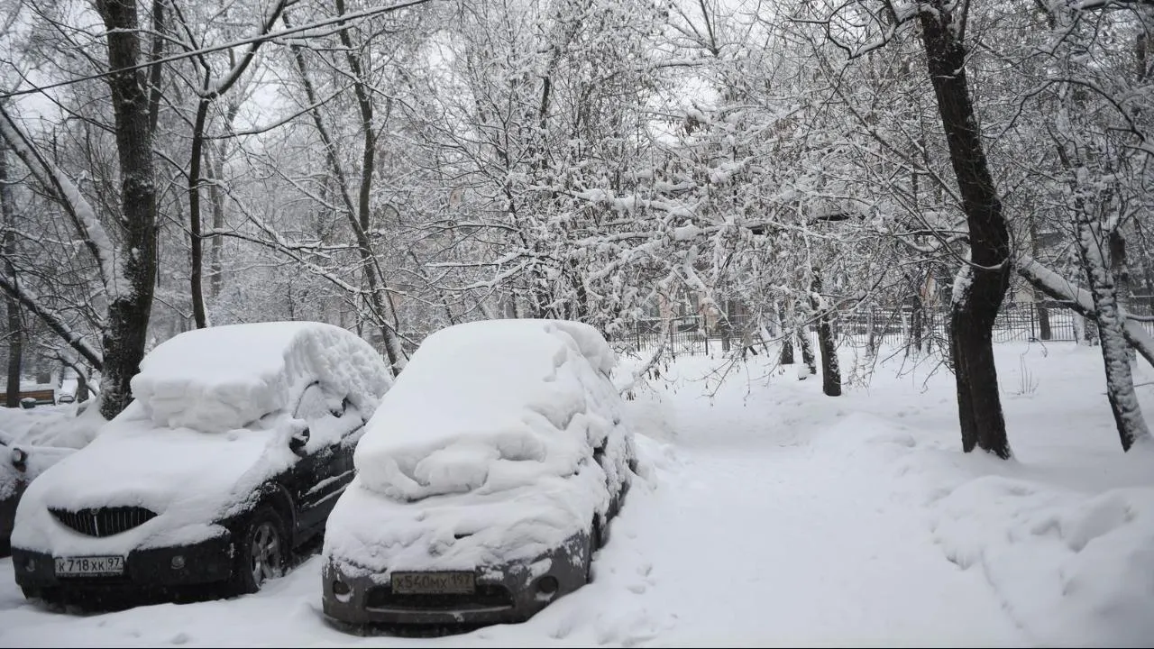 медиасток.рф