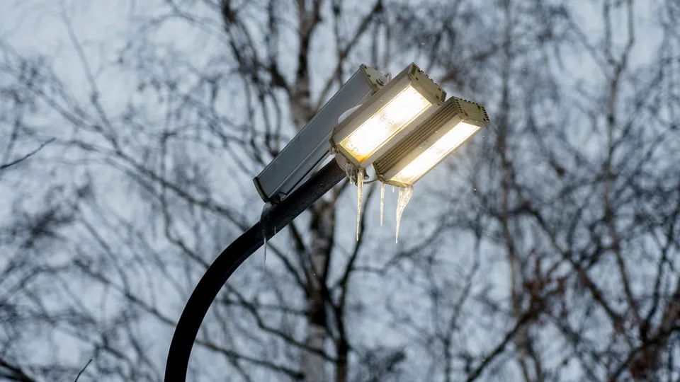 Фото: медиасток.рф