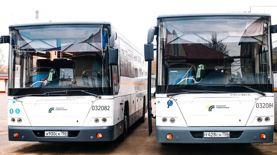 Фото: пресс-служба администрации г.о. Кашира