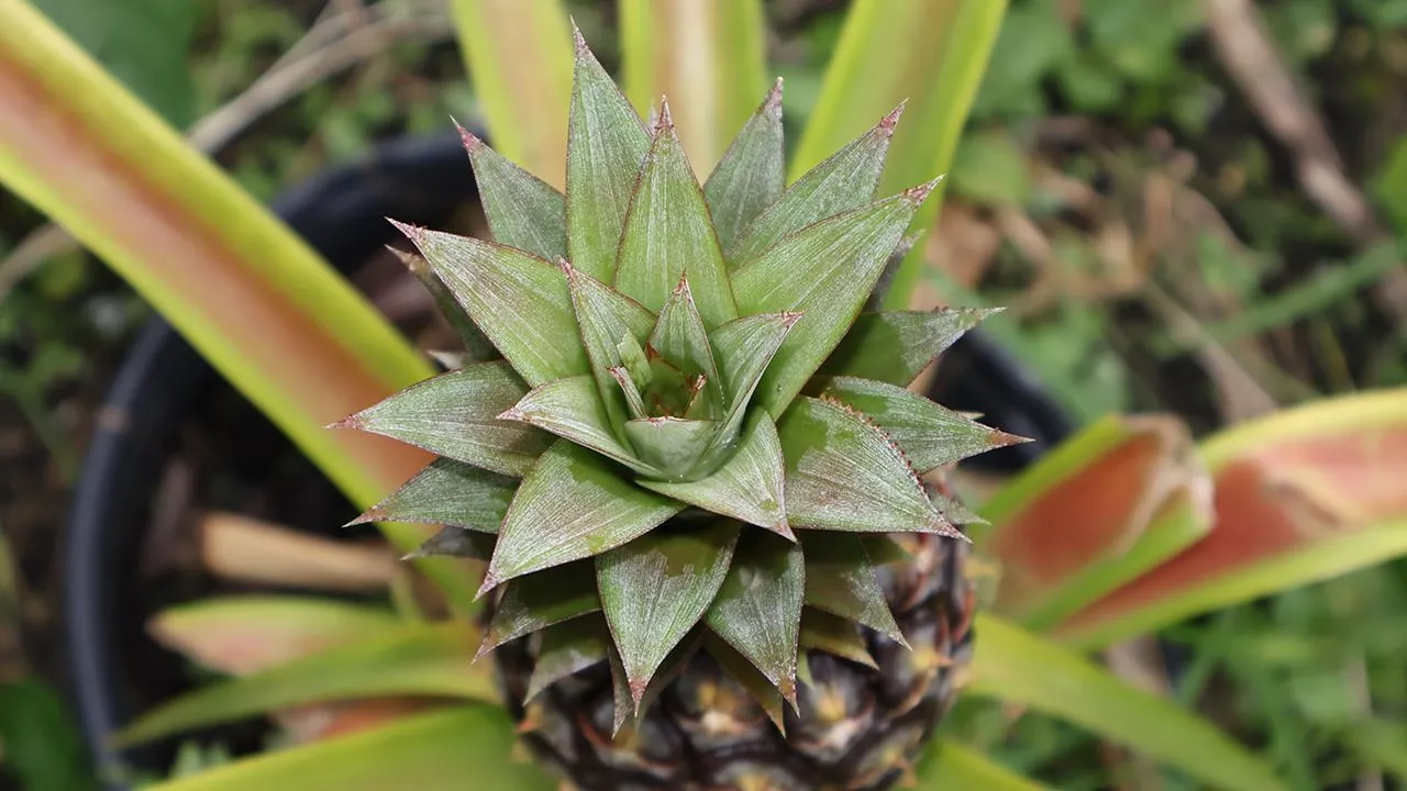 istockphoto.com/Mirza Nasrin