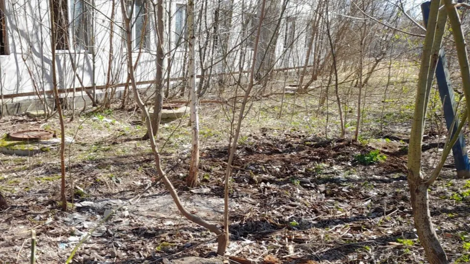 Фото: администрация м.о. Лотошино