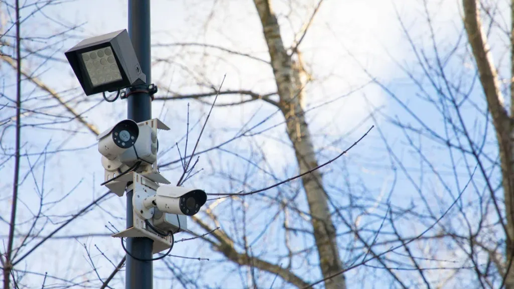 Фото: пресс-служба губернатора и правительства Московской области