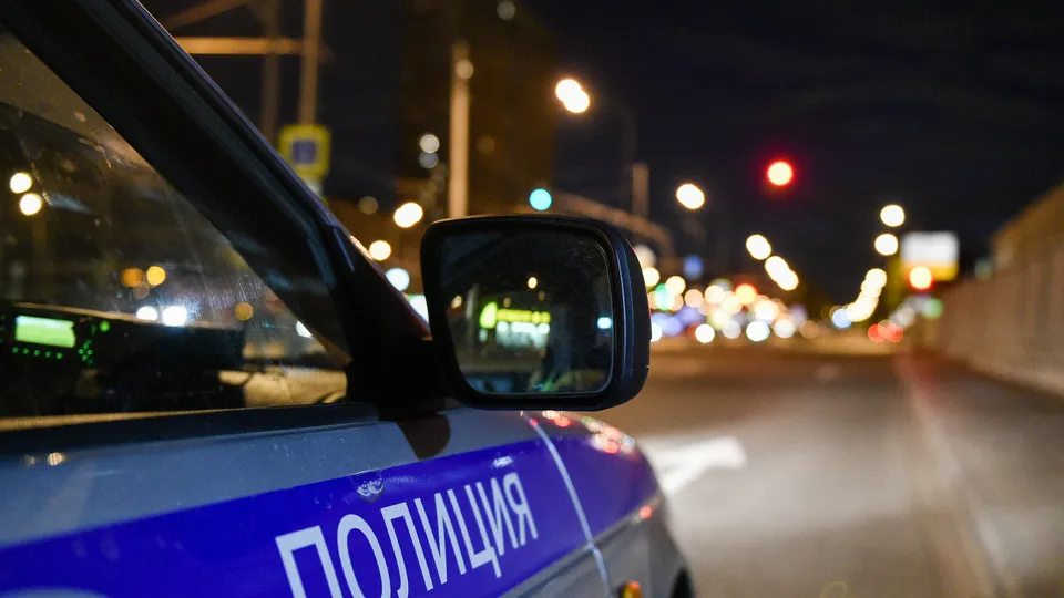 Фото: Медиаархив Подмосковья