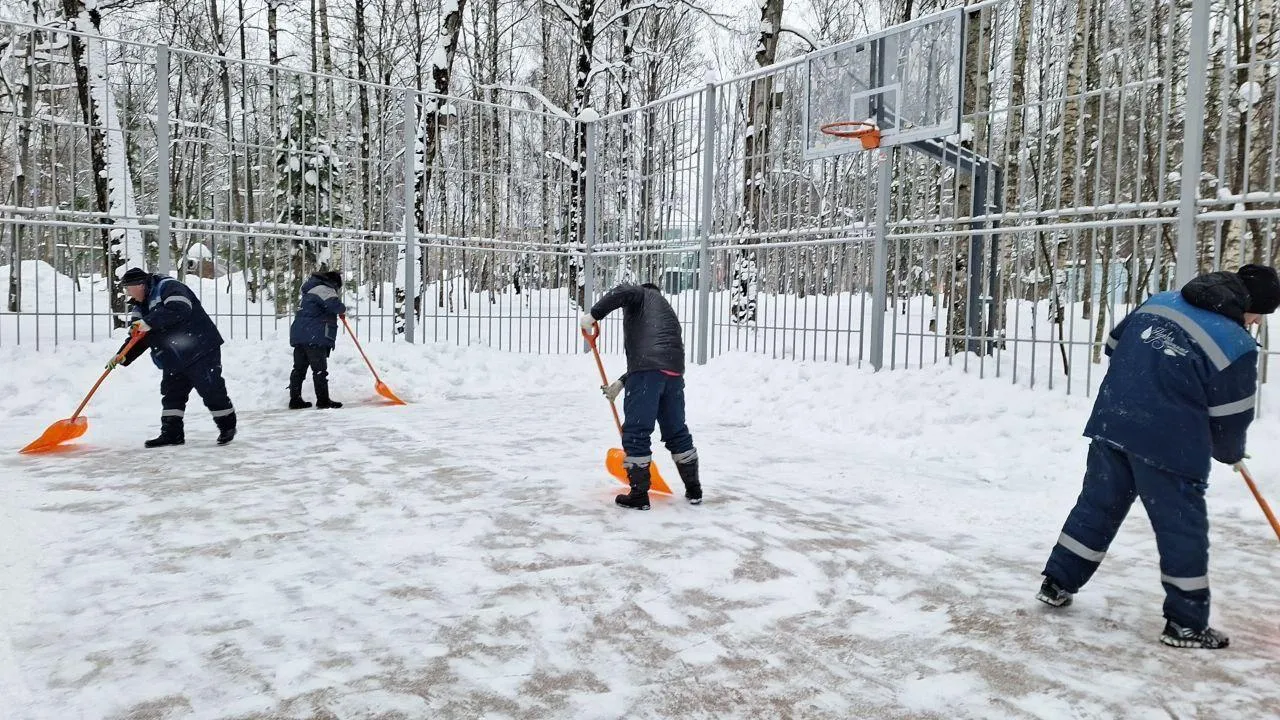 Министерство благоустройства МО