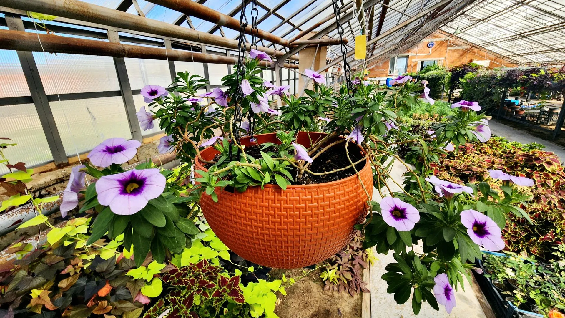 Фото: Мария Панина