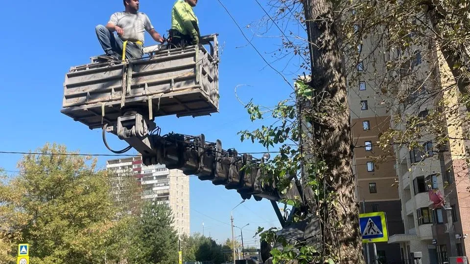 Фото: пресс-служба Администрации г.о. Лобня