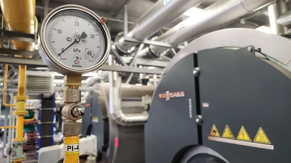 Фото: МедиаБанк Подмосковья/Ольга Сычева