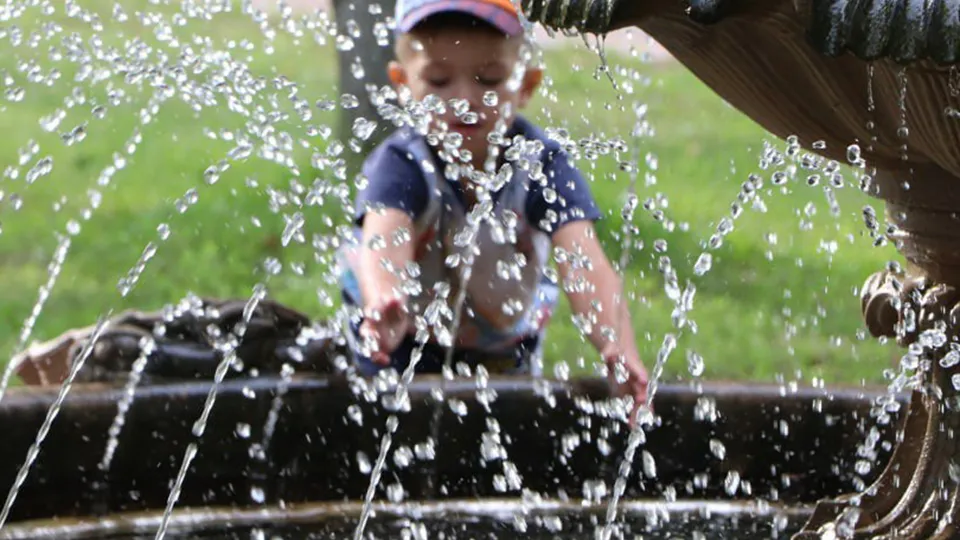 Фото: пресс-служба администрации г.о. Волоколамск