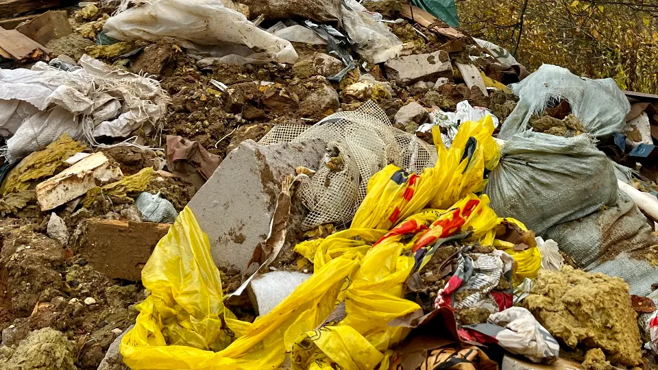 Фото: МедиаБанк Подмосковья/Анна Тюрюмина