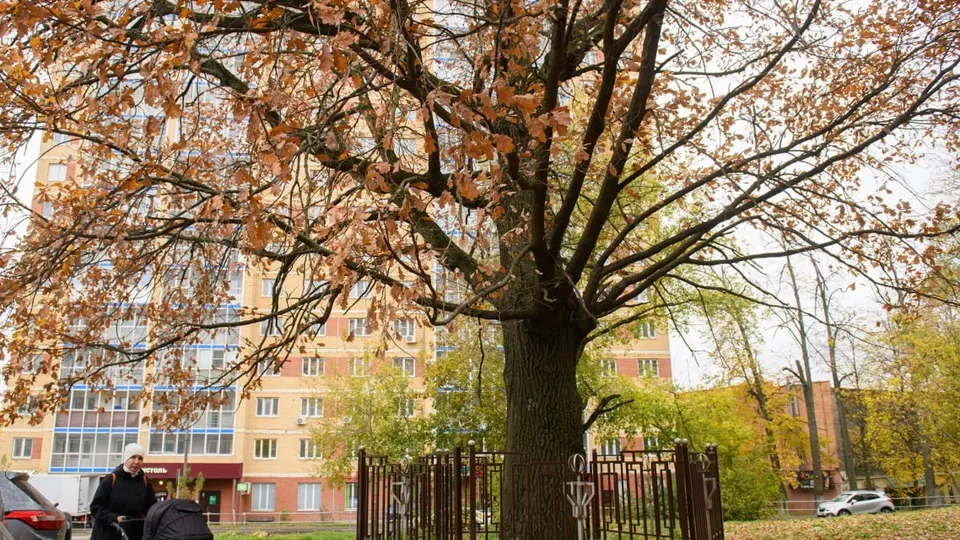 Фото: пресс-служба администрации г.о. Лыткарино