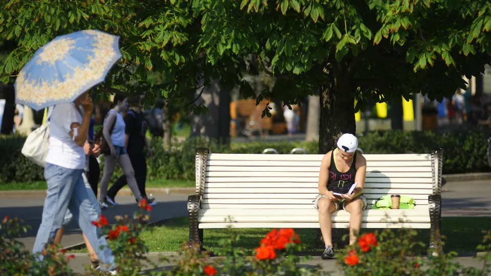 Фото: медиасток.рф