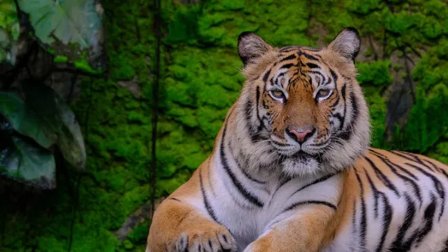 Фото: ru.freepik.com