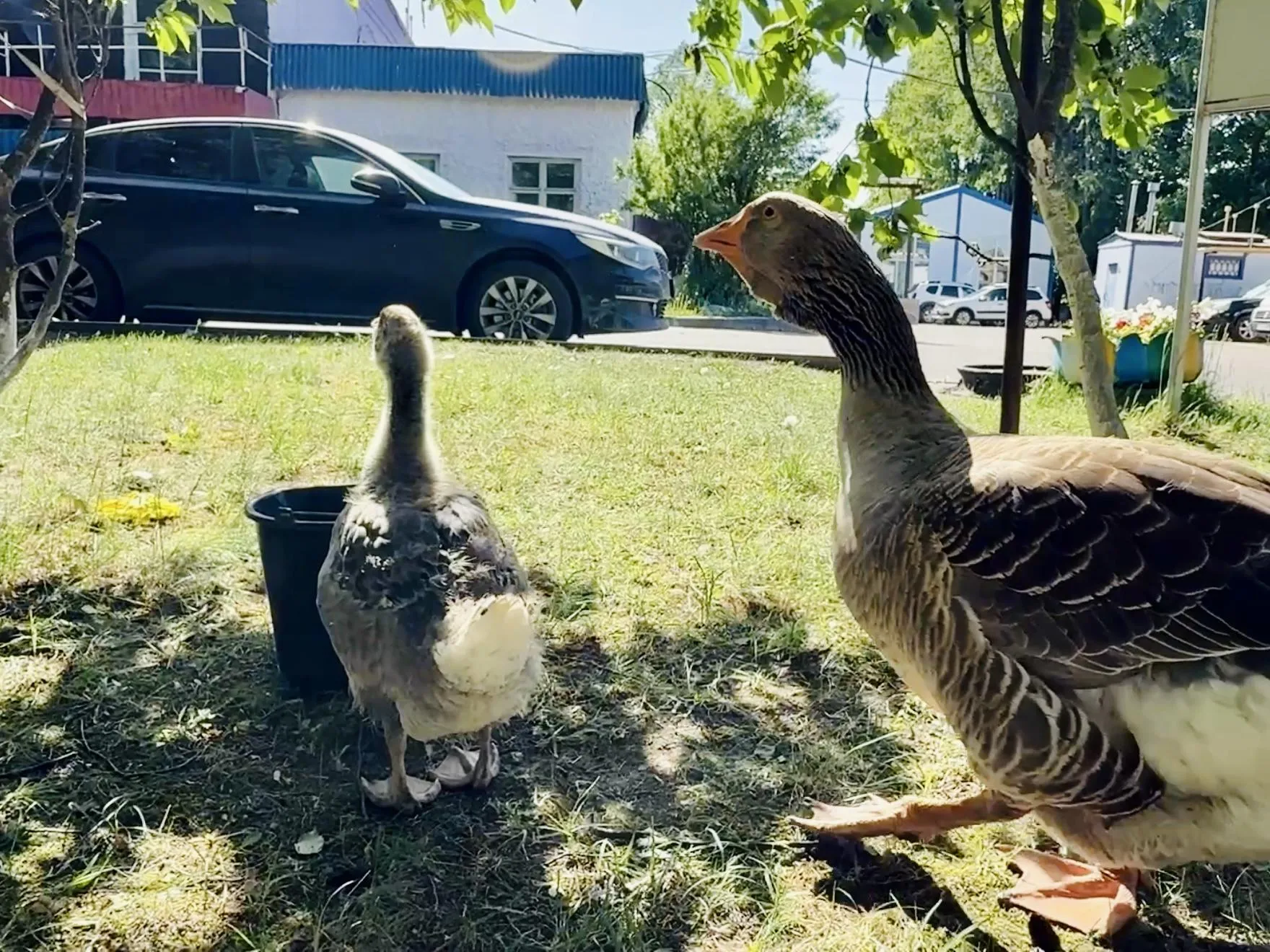 Фото: Ольга Стаферова