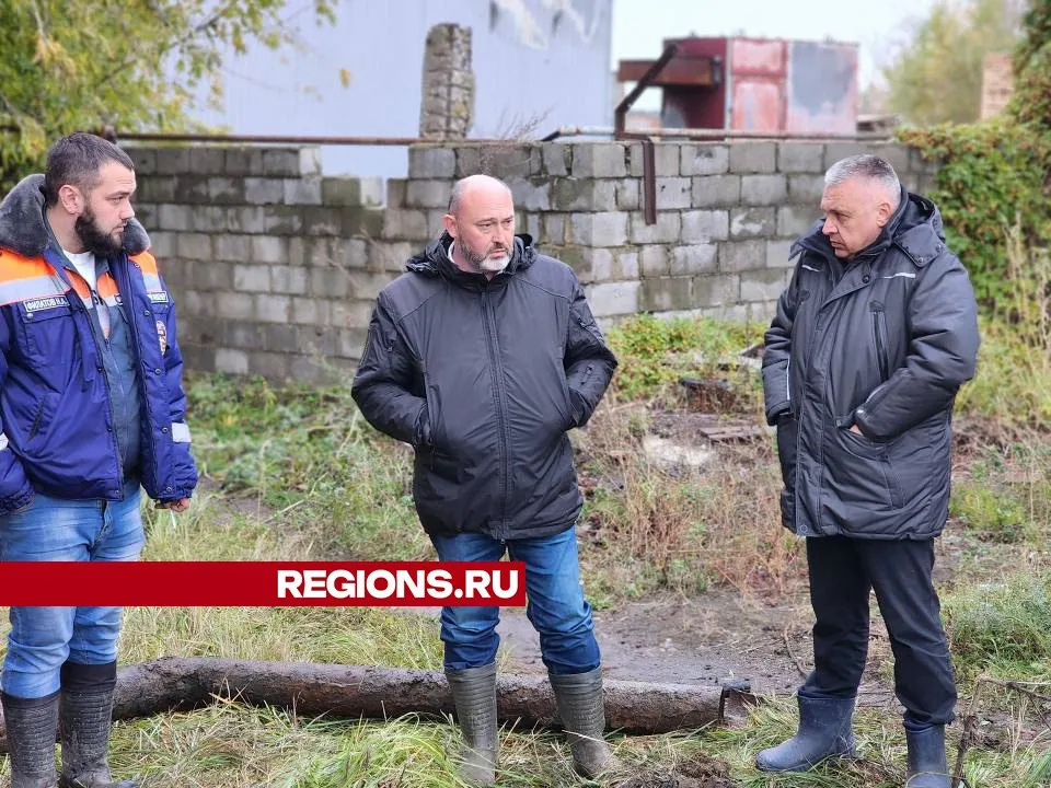 Фото: Светлана Плотникова