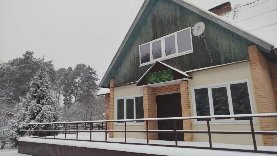 Фото: Комитет лесного хозяйства МО