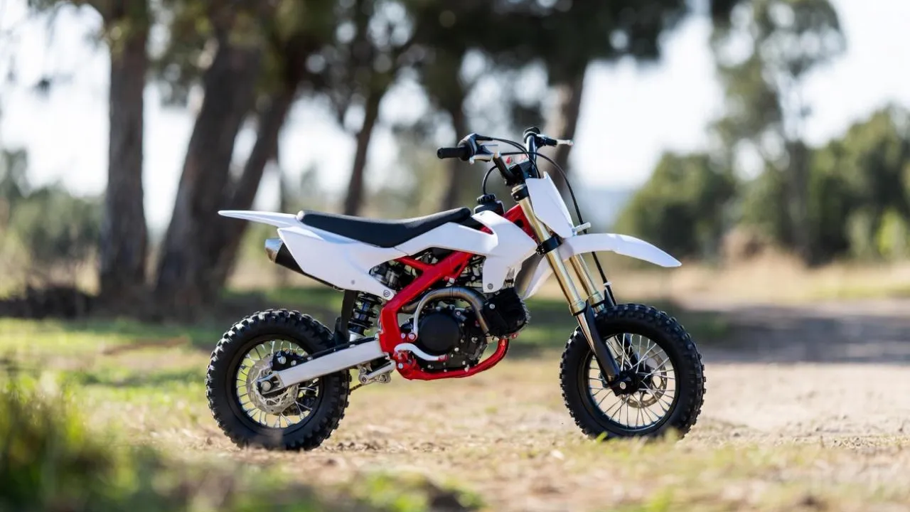 «Подмосковье сегодня»/Сгенерировано нейросетью