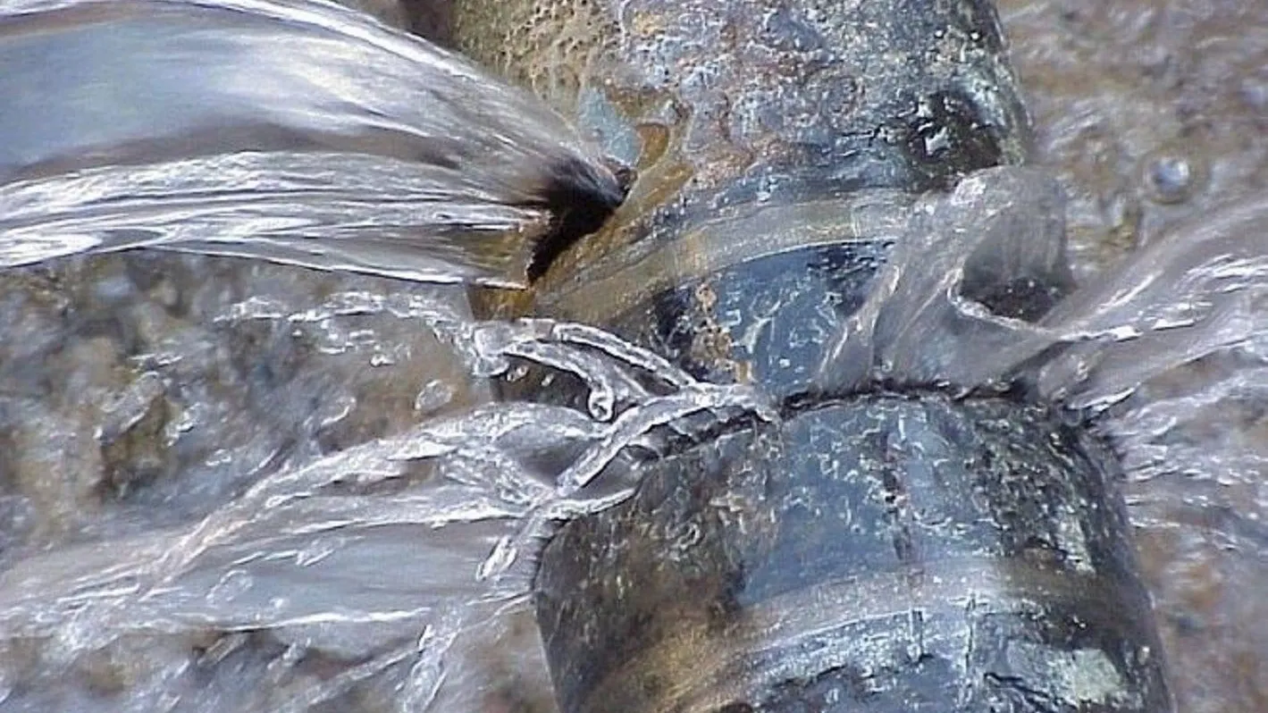 Фото cdn.vashgorod.ru.