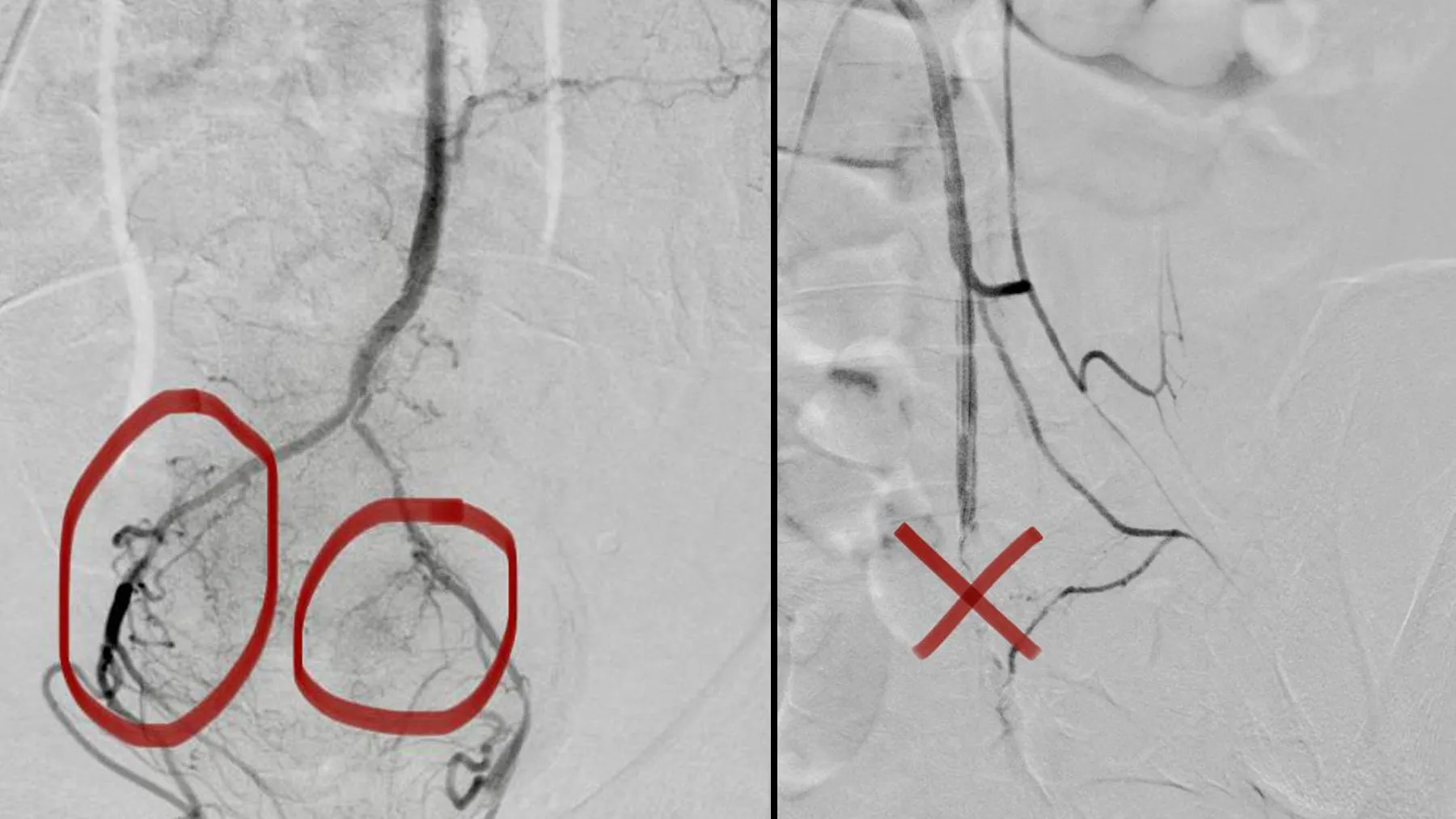 Пресс-служба Ступинской ОКБ