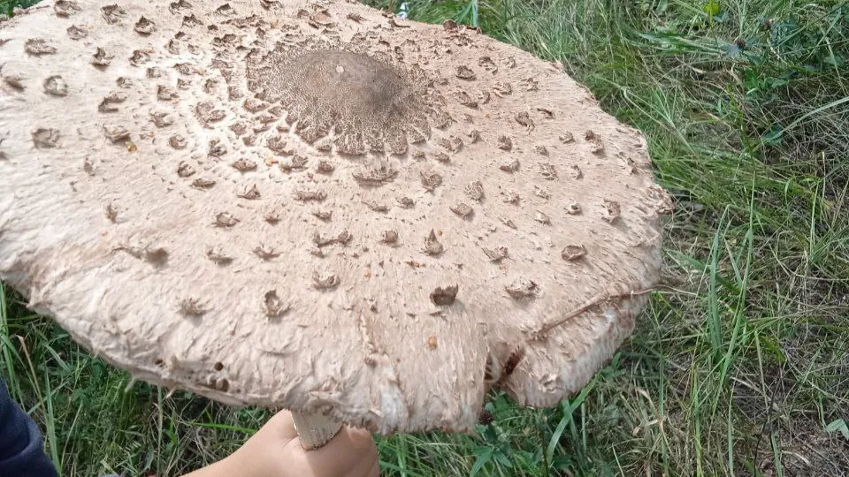 Фото: Юлия Куделькина